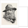 Walt Whitman, May 31, 1819 – March 26, 1892, Was an American Poet, Essayist and Journalist, United States by Anonymous