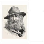 Walt Whitman, May 31, 1819 – March 26, 1892, Was an American Poet, Essayist and Journalist, United States by Anonymous