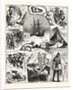 Return of the Arctic Expedition, Sketches on Board Her Majesty's Ships Alert and Discovery, at Queenstown, New Zealand, on Oct. 1876 by Anonymous