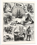 Return of the Arctic Expedition, Sketches on Board Her Majesty's Ships Alert and Discovery, at Queenstown, New Zealand, on Oct. 1876 by Anonymous