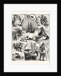 Return of the Arctic Expedition, Sketches on Board Her Majesty's Ships Alert and Discovery, at Queenstown, New Zealand, on Oct. 1876 by Anonymous