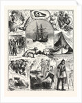 Return of the Arctic Expedition, Sketches on Board Her Majesty's Ships Alert and Discovery, at Queenstown, New Zealand, on Oct. 1876 by Anonymous