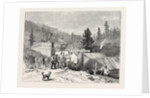 Deadwood City, Black Hills, the Sioux War, United States by Anonymous