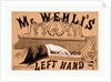 Mr. Wehli's Left Hand by Anonymous