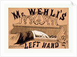 Mr. Wehli's Left Hand by Anonymous