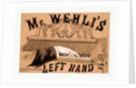 Mr. Wehli's Left Hand by Anonymous
