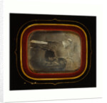 Stuffed Eagle in Independence Hall, Circa 1845 by Anonymous