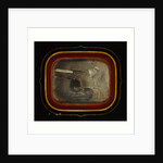 Stuffed Eagle in Independence Hall, Circa 1845 by Anonymous