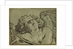 Head of Cupid, Between Ca. 1630 and 1675 by Anonymous