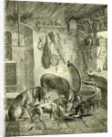Hunt Austria Dogs 1891 by Anonymous
