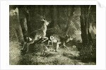 Deer Austria 1891 by Anonymous