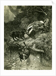 Badger Austria 1891 by Anonymous