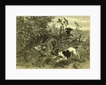 Deer Dog Hunt Austira 1891 by Anonymous