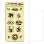 Austria Hunt 1891 by Anonymous