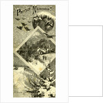 New Year Austria 1891 by Anonymous