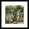 Woods UK 19th Century by Anonymous