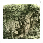 Woods UK 19th Century by Anonymous