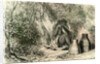 Conibo Woman 1869 Peru by Anonymous