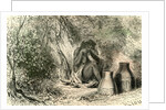 Conibo Woman 1869 Peru by Anonymous