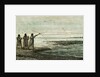 Turtles Hunt 1869 Peru by Anonymous