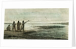 Turtles Hunt 1869 Peru by Anonymous