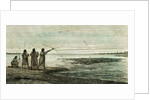 Turtles Hunt 1869 Peru by Anonymous