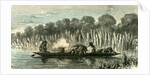 Conibo Family on a Trip 1869 Peru by Anonymous