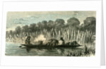 Conibo Family on a Trip 1869 Peru by Anonymous