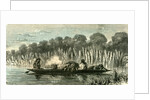 Conibo Family on a Trip 1869 Peru by Anonymous
