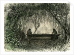 Canoe Fabrication 1869 Peru by Anonymous