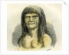 Pano Indian 1869 Peru by Anonymous