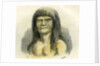 Pano Indian 1869 Peru by Anonymous