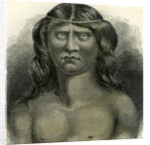 Pano Indian 1869 Peru by Anonymous
