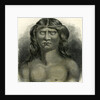 Pano Indian 1869 Peru by Anonymous
