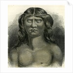 Pano Indian 1869 Peru by Anonymous