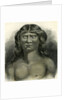 Pano Indian 1869 Peru by Anonymous