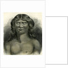 Pano Indian 1869 Peru by Anonymous