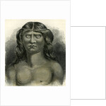 Pano Indian 1869 Peru by Anonymous