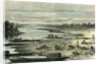 Searching for Turtle Eggs 1869 Peru by Anonymous