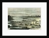 Searching for Turtle Eggs 1869 Peru by Anonymous