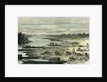 Searching for Turtle Eggs 1869 Peru by Anonymous