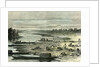 Searching for Turtle Eggs 1869 Peru by Anonymous