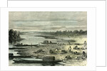 Searching for Turtle Eggs 1869 Peru by Anonymous