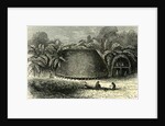 Conibos House 1869 Peru by Anonymous