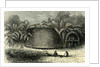 Conibos House 1869 Peru by Anonymous