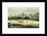 Banana Trees 1869 Peru by Anonymous