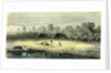 Banana Trees 1869 Peru by Anonymous