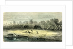 Banana Trees 1869 Peru by Anonymous