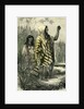 Chontaquiros Indians 1869 Peru by Anonymous