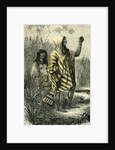 Chontaquiros Indians 1869 Peru by Anonymous